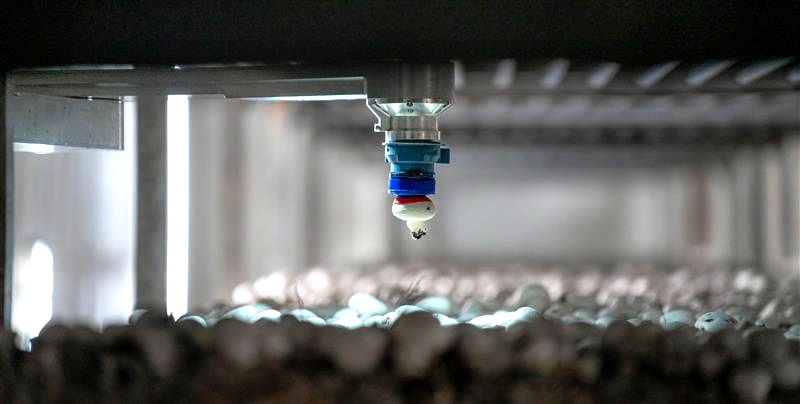 </who>Robotics increase the efficiency of mushroom farms.