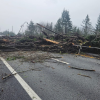 <span style="font-weight:bold;">UPDATE:</span> Emergency crews have located 1 body after mudslide displaced house in BC