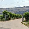 Okanagan winery permanently banned from hiring foreign workers, fined $118K