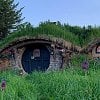 BC’s iconic ‘Hobbit House’ property is on the market for $2.5M