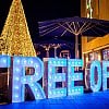 Here’s what you can expect from Kelowna’s first ever Tree of Hope Festival today