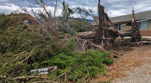 PHOTOS: Osoyoos and area besieged by crushing Wednesday windstorm