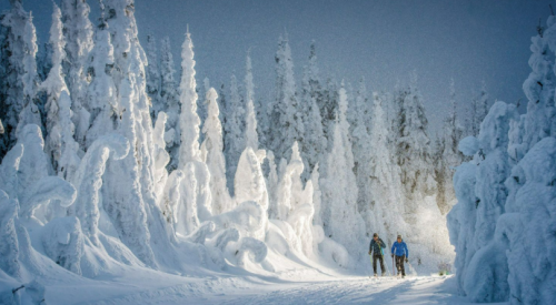 From Australia and New Zealand to England and the US: Thompson Okanagan gets love in international travel stories