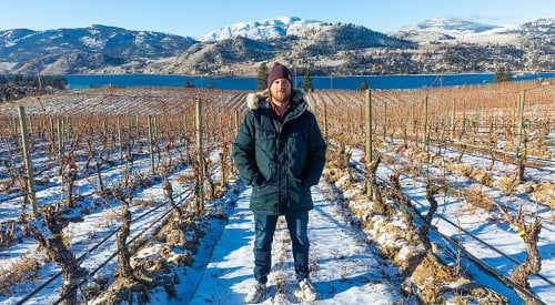 It's brutally cold again. How will our wineries fare this time?