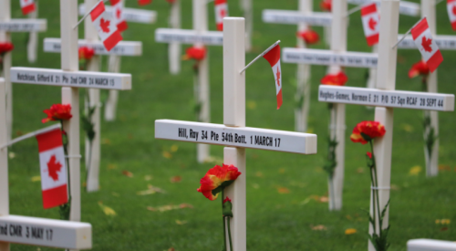 ‘More of a human focus on the name’: Field of Crosses opens to the public at City Park