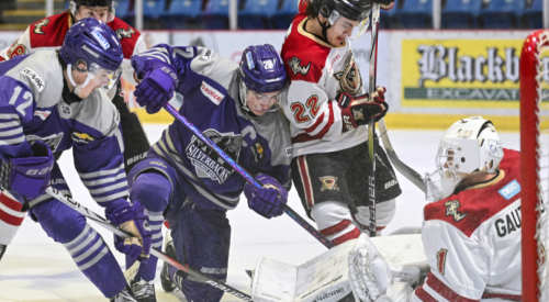 Gauthier’s 37 saves propels the Warriors to a big win over Salmon Arm