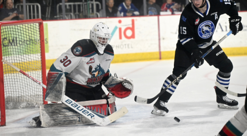 Former Rockets goalie finds a new Okanagan squad