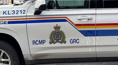 Man accused of assaulting, injuring police officers in the Kootenays