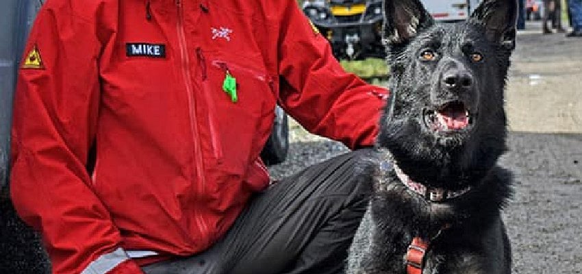 OOSAR mourns loss of their first ever search and rescue dog