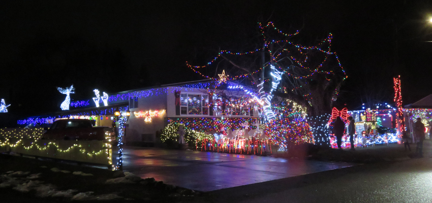 Candy Cane Lane shining bright this holiday season